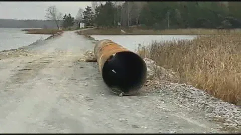 Дорога к острову Огуречному Искитимского района Новосибирской области