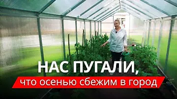 Живут в деревне, как в санатории