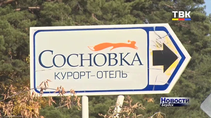 Бердский курорт Сосновка меняет профиль с рекреационного на медицинский