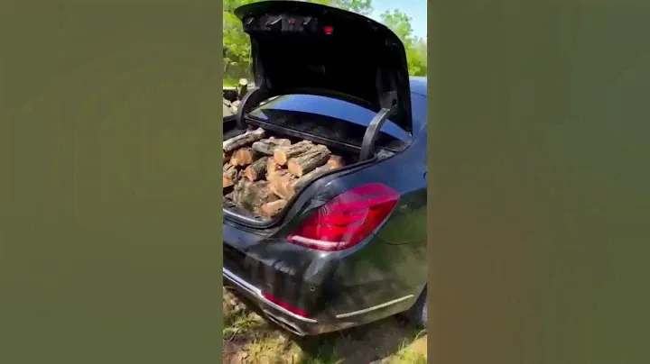 ВОТ КАК НАДО ДРОВА СУШИТЬ И ВОЗИТЬ
