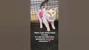 Доставка в другие города Г.Саранск Информация в шапке профиля или писать в вотсап +79271880201