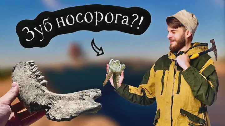 Окаменелости из ЛЕДНИКОВОГО ПЕРИОДА! Поиск костей МАМОНТА и мамонтовой мегафауны!