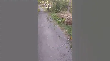 В Батайске по улице Ленина оборвался провод линии электропередач. Будьте осторожны!