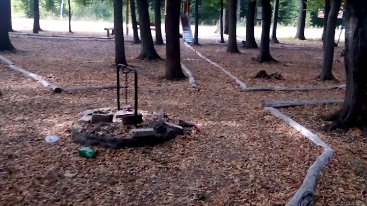 Лес. Зона отдыха.