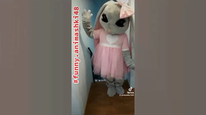 Поздравление на день рождение🥳 зайка Лолли Грей