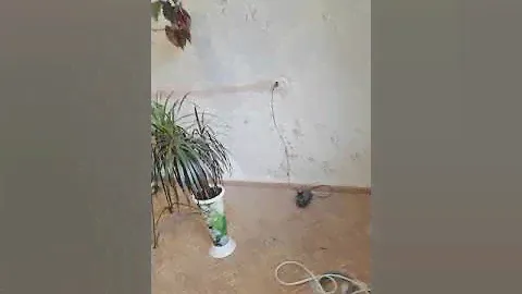 Натяжные потолки Бердск ул Лунная 12