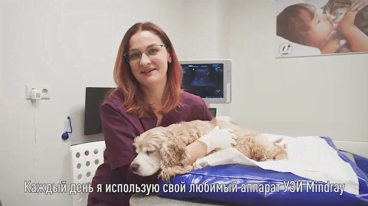 Ультразвуковые исследования в клинике Вега, М.Катукова 17 к 1