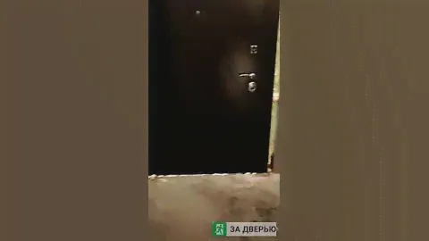 Отзыв о входной металлической двери в квартиру на заказ по своим размерам