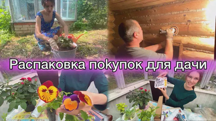 РАСПАКОВКА ПОКУПОК ДЛЯ ДАЧИ. Посадила розы из пятёрочки. Дачная поляна.