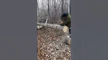 Заготовка дров на баню.