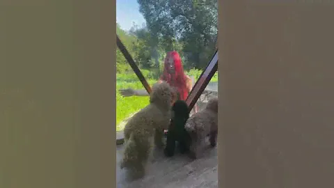 Отдых Александры и Макара Игнатовых после свадьбы, отдых на двоих ❤️