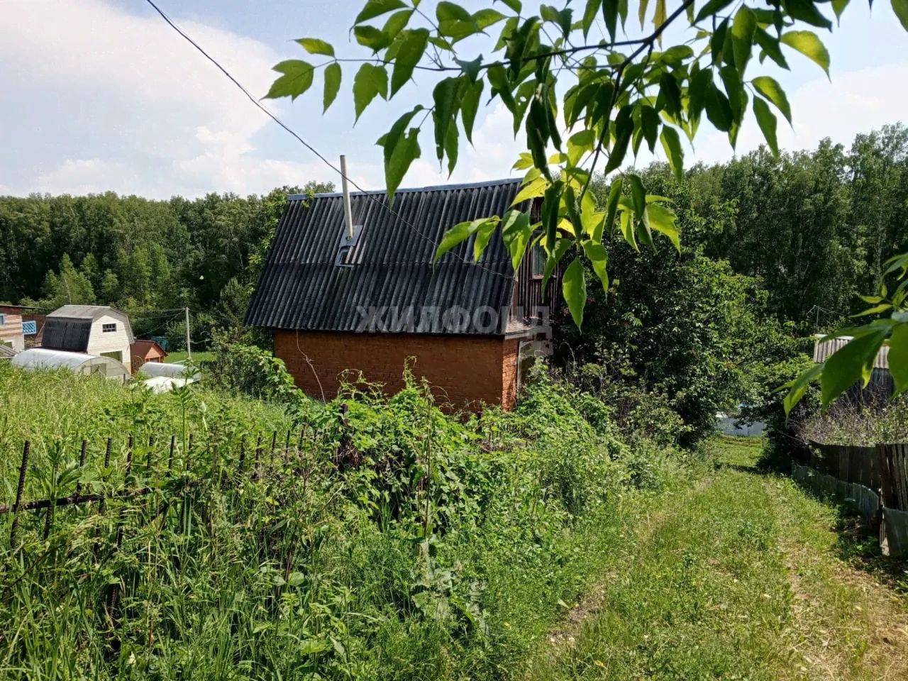 Бердск, с/о Вега-1-0