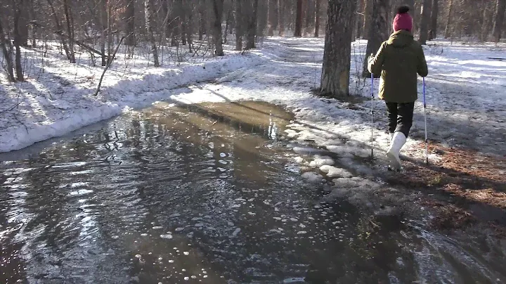 Бердск Прогулка к морю по лесу от поликлиники микрорайона.