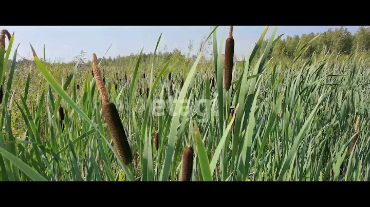 2965912, Сургут, Солнечный п, р н ДНТ Богдановское, ул 9 ая