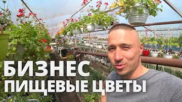 Бизнес Пищевые Съедобные  цветы +  бизнес микрозелень зеленый шеф