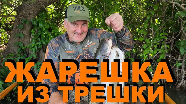 ЖАРЕШКА ИЗ ТРЕШКИ. РЫБАЛКА СОМА НА КВОК С ВАЛЕРОЙ НА КАЗАНКЕ. РЕЦЕПТЫ СЮФ