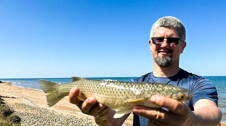 Азовское море радует уловом! Поймали пеленгаса и бычка на джиг и… змею?! 😱🐟