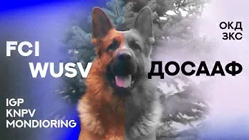 Дрессировка Собак. ДОСААФ и другие школы дрессировки. Dog Training. Different methods.