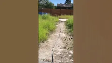 дачный бассейн хорошо в деревне летом