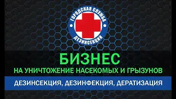 Уничтожение клопов - Начало бизнеса с нуля в 2021 году
