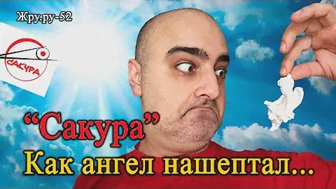 ОБЗОР ДОСТАВКИ В СПБ "САКУРА". КАК АНГЕЛ НАШЕПТАЛ... ЖРУ.РУ#52