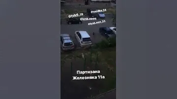 Жители дома по Партизана Железняка жалуются на стаи агрессивных собак