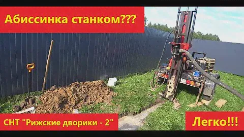 Хорошая абиссинка. СНТ Рижские дворики-2.