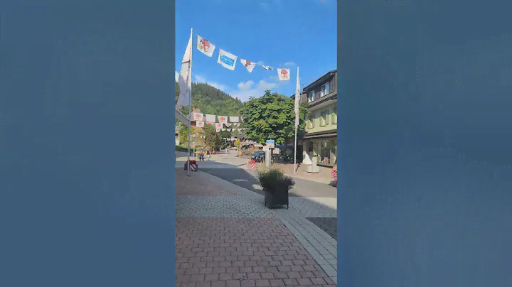 Продаю квартиру в этом городке, 31 километр от Швейцарии. Спасибо за подписку ❤️