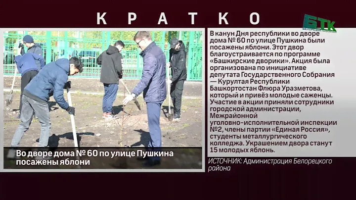 Во дворе дома № 60 по улице Пушкина посажены яблони