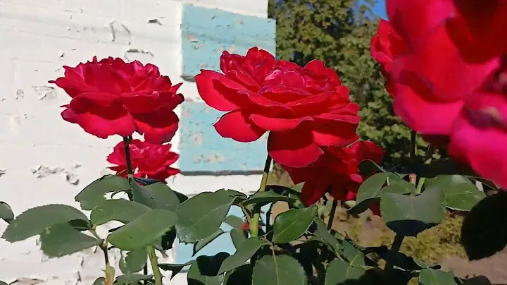 НовомосковсUA ул Леваневского ,Перерваная,Гетьмановская