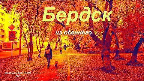 Бердск, из осеннего. Новосибирская область, Западная Сибирь России,  2021