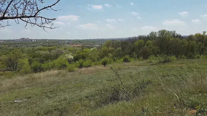 Агролес