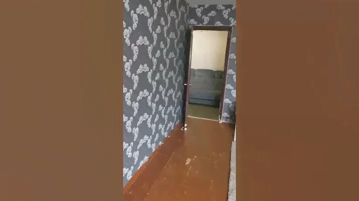Сдается 1-комнатная квартира в г. Северодвинск, ул. Карла Маркса 69