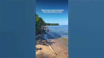 Бердская коса Лесная полоса в Бердске, расположенная между Обским морем и Бердским заливом #travel