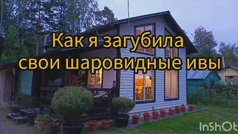 4 мая 2024 г.