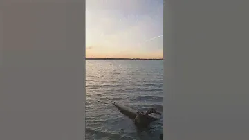 🌅 Секунды заката на Обском море | Бердск 🕰️#Бердск #ОбскоеМоре #Закат  #Прибой
