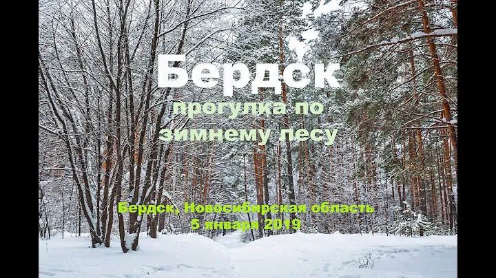 Бердск прогулка по зимнему лесу. Новосибирская область, Западная Сибирь.