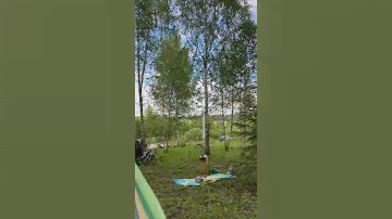 Ну что за жизнь 😂😂 #дача #огород #рассада