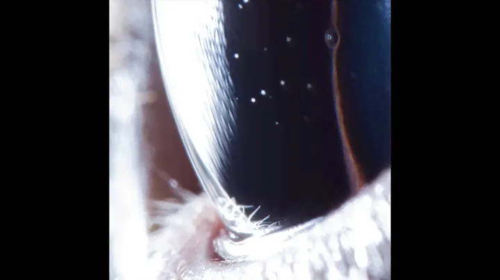 Roly Porter - 4101