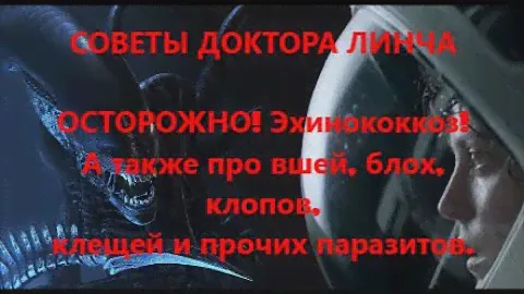 ЛЕКЦИЯ ДОКТОРА ЛИНЧА №9. Эпидемия эхинококкоза в Ульяновске-2019. Знакомство с паразитами.
