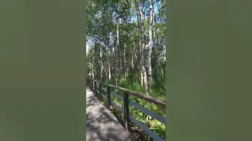 Мурманск, отель Экспедиция зона отдыха.