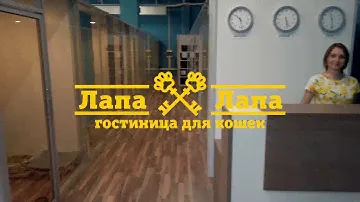 Гостиница для кошек Лапа-Лапа