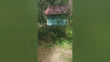 База отдыха Бухта, Новосибирская область, Искитимский район,