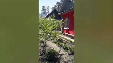 Дом домик дача коттедж у моря 6 соток 3980 т.р. Бердск, поселок микрорайон Новый