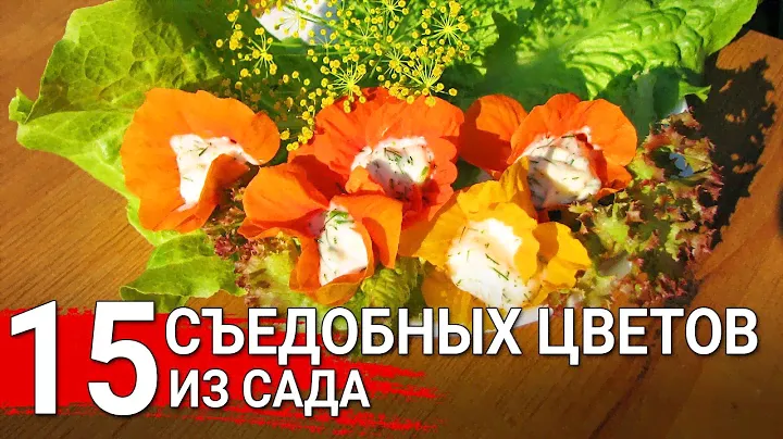 15 съедобных цветов из сада