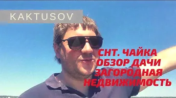 ЗАГОРОДНАЯ НЕДВИЖИМОСТЬ  СНТ ЧАЙКА ПРОДАЕТСЯ ДАЧА!  #сад #огород #дача #загородная_недвижимость vlog