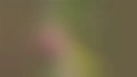 Дача СНТ Вега-1