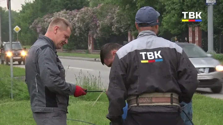 В Бердске фура совершила опасный маневр и оборвала кабель нескольких провайдеров