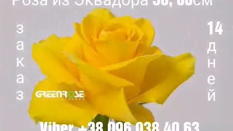 Каталог