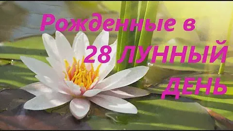 Рожденные в 28 лунный день